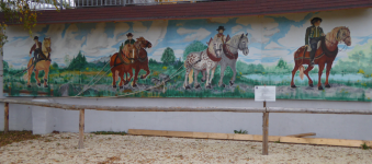 Treiberzüge, Troadlzug